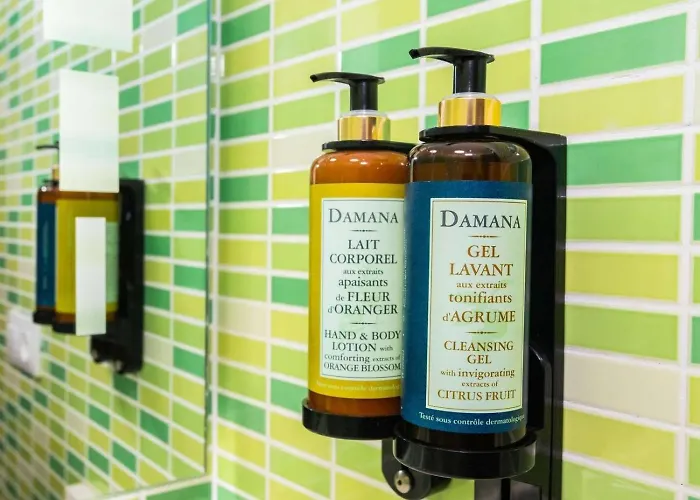 Palmera La Vegueta Tinajo